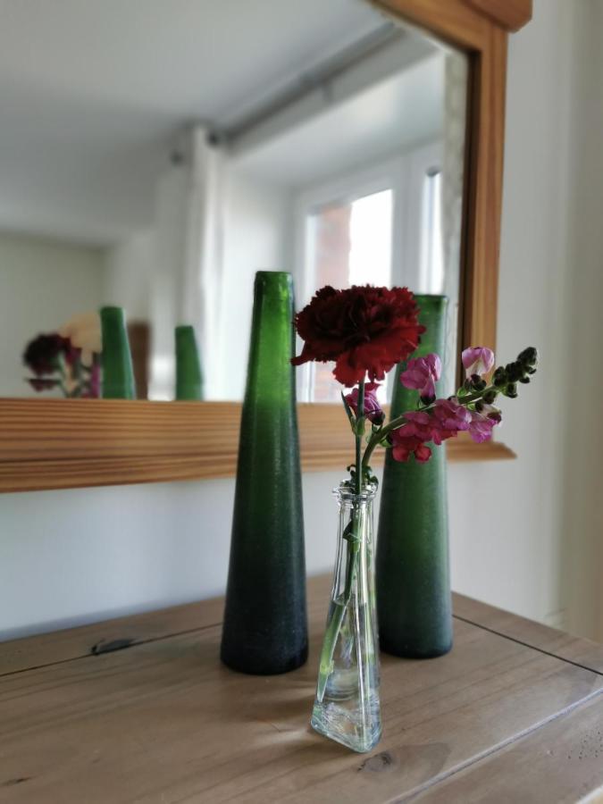 Housing De Brouwerij Bed and Breakfast Westdorpe Εξωτερικό φωτογραφία