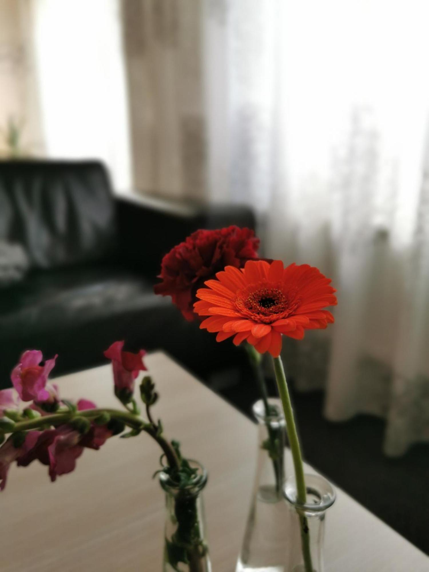 Housing De Brouwerij Bed and Breakfast Westdorpe Δωμάτιο φωτογραφία